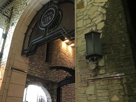 호텔 시티오 시즈오카