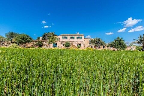 핑카 아그로투리스모 사 코바 덴 보리노