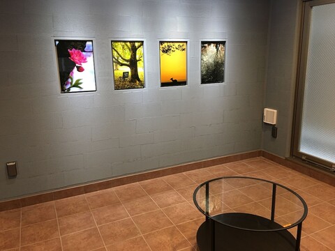 OTR 파크 뷰 벤텐초