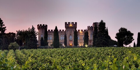 샤토 데 핀 로쉬