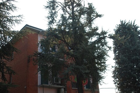 호텔 투스콜라노