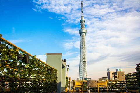 플레이시스 이스트 도쿄