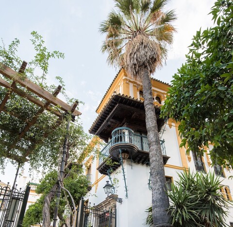 스위트 무리요 플라자 스타 크루즈