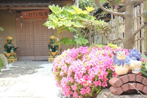 오키나와 민슈쿠 가리유시 혼칸