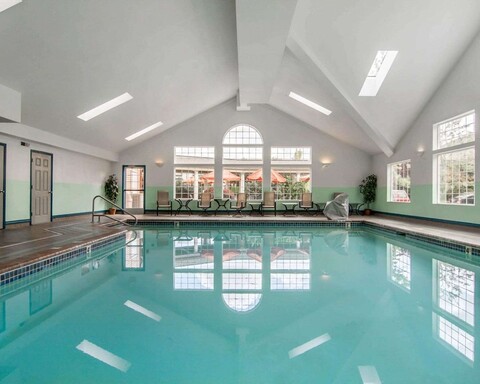 컴포트 스위트 코발리스