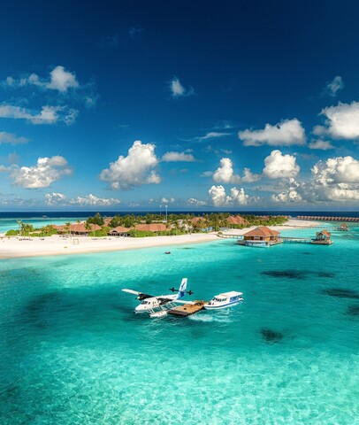 브레니아 코테파루