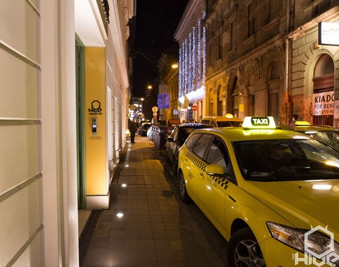 더 하이브 파티 호스텔