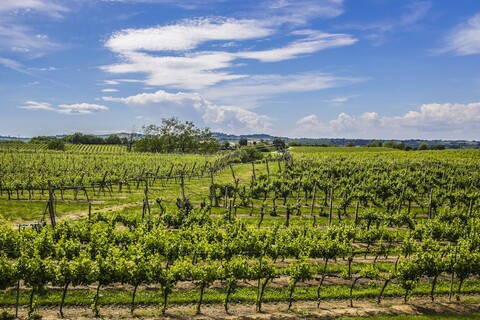 트레레 아그리투리스모