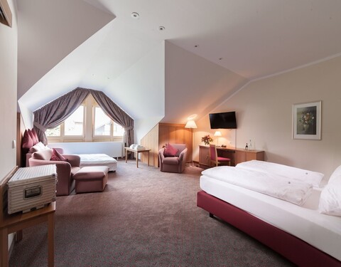 호텔 하힝거 호프