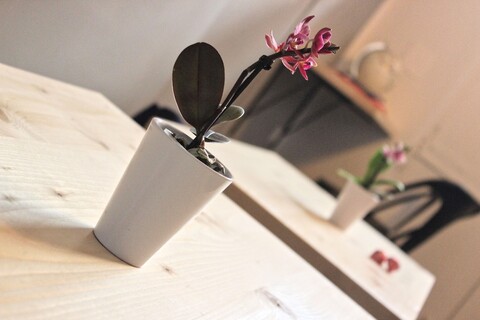 라 카사 델 코랄로