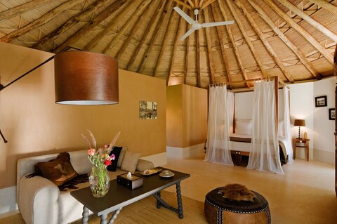 레 5 드젤라바스