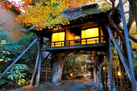 헤이하치 티 하우스 인