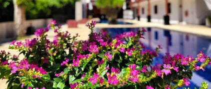 수린트라 부티크 리조트