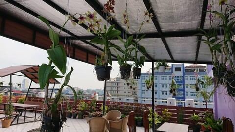 로열 하타르 호텔