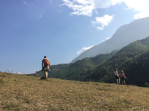 프리덤 홈스테이