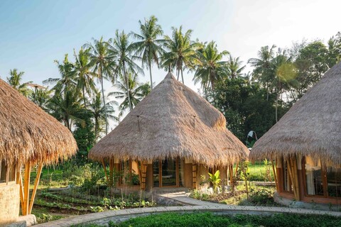 마나 어스리 파라다이스