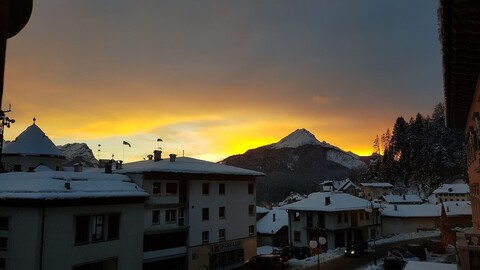 로칸다 아이 도기