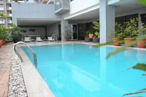 알리시아 아파텔