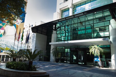 블루 트리 프리미엄 파울리스타