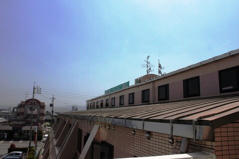 팰리스 인 도요타