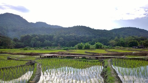 부룬 부리 리조트