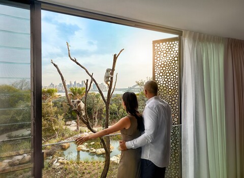 와일드라이프 리트리트 앳 타롱가