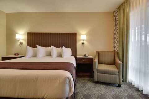 배거본드 인 비숍