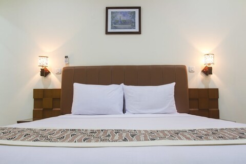 하우스 오브 아르소니아 오키드