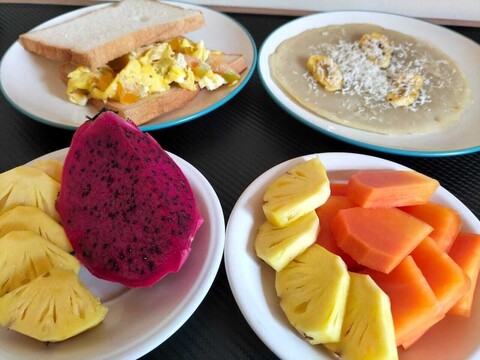 오젝스 홈스테이