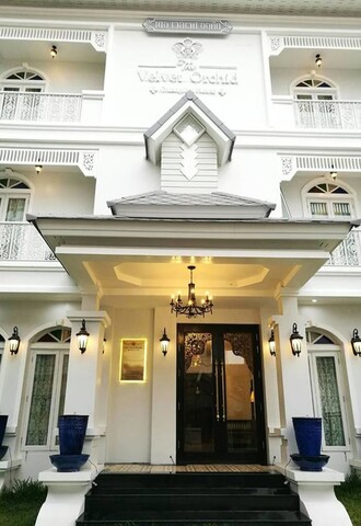 더 벨벳 오키드