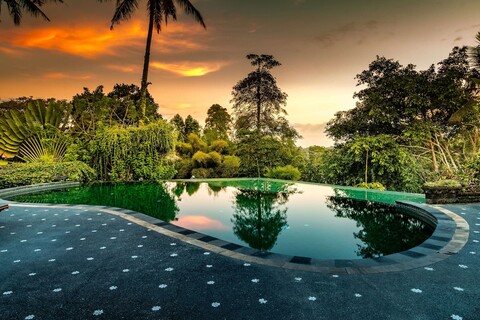 타나 메라 아트 리조트