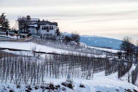 호텔 안티카 토레