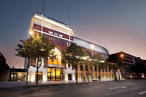 돌셋 셰퍼드 부시