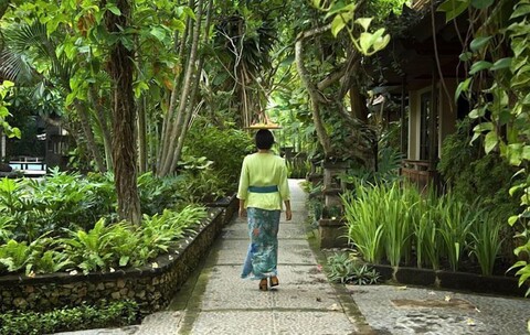 호텔 푸리 밤부