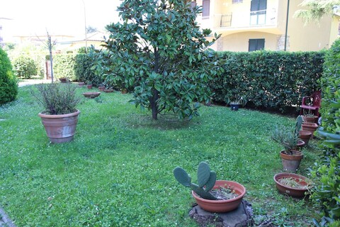 비앤비 글리 아르키