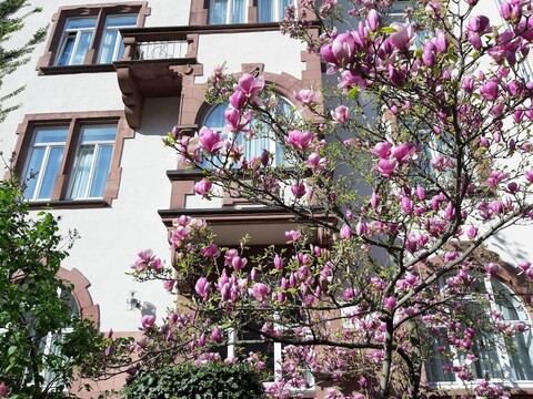 호텔 로버트 마이어