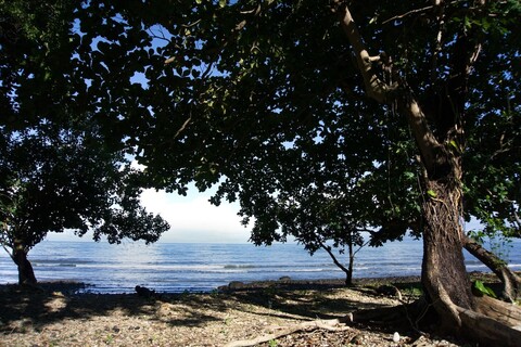 코 창 프리빌리지