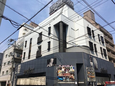 살구 - 성인 전용