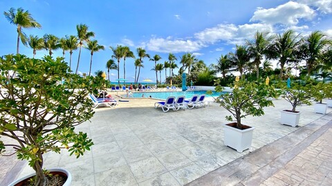 시코스트 바이 마이애미 앰배서더스