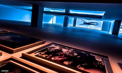 웰도네 퀄리티 - 크리스탈 풀