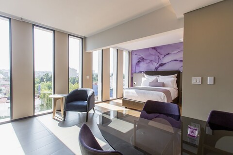 HS 호슨 롱 스테이 CDMX 콘데사 수르