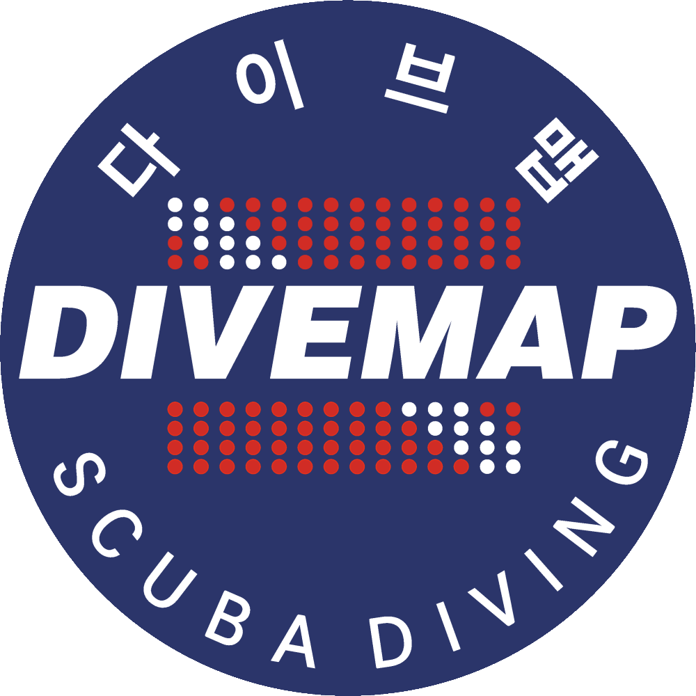 다이브맵
