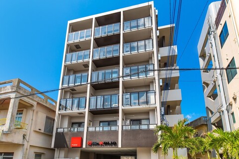 미스터 긴조 미야코 아일랜드