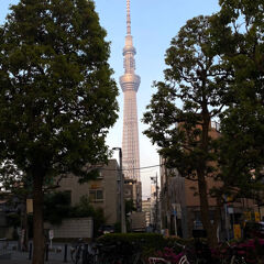 profile-image