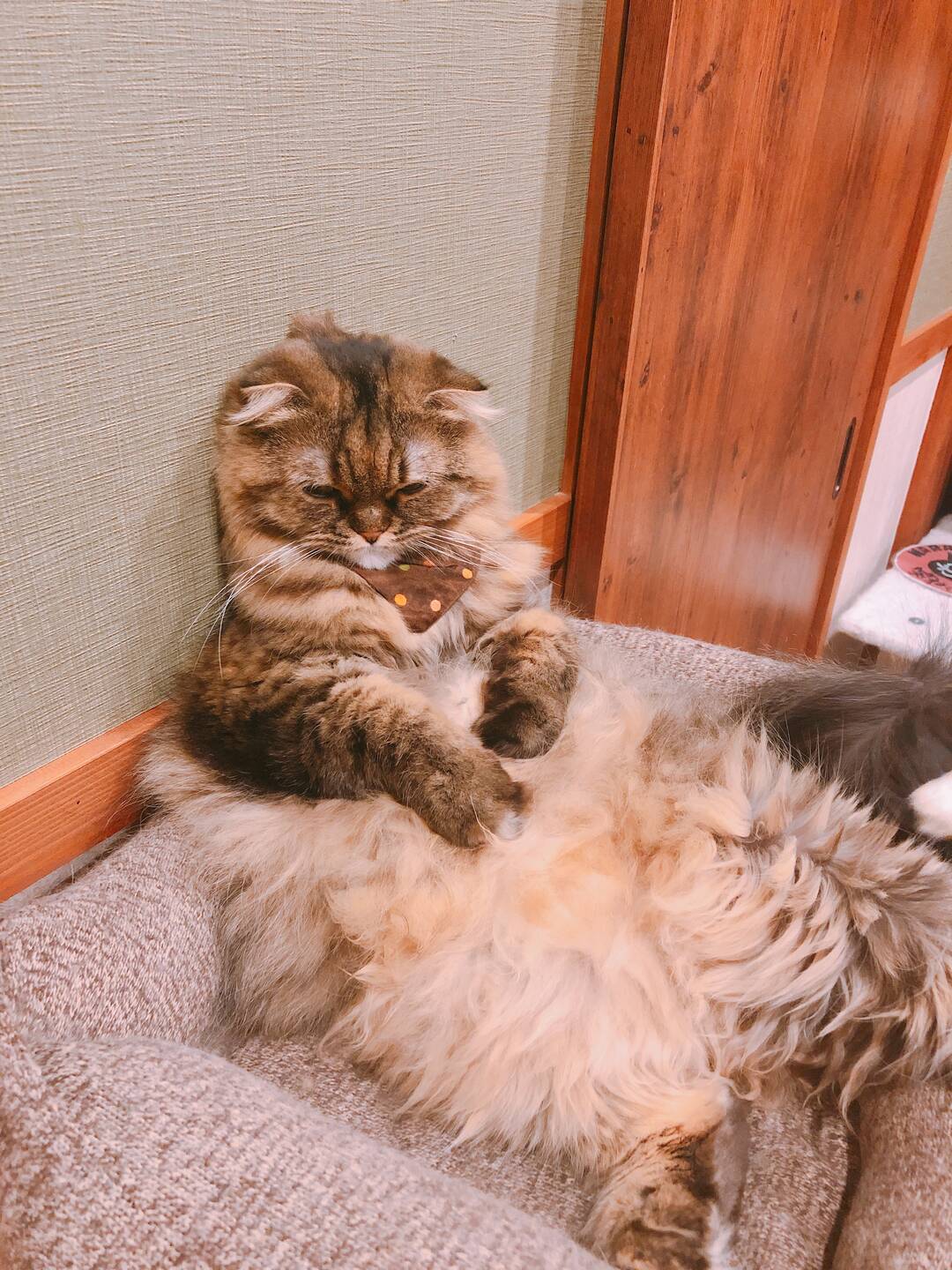 유후인-숙소0