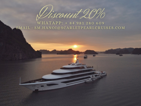 스칼렛 펄 크루즈