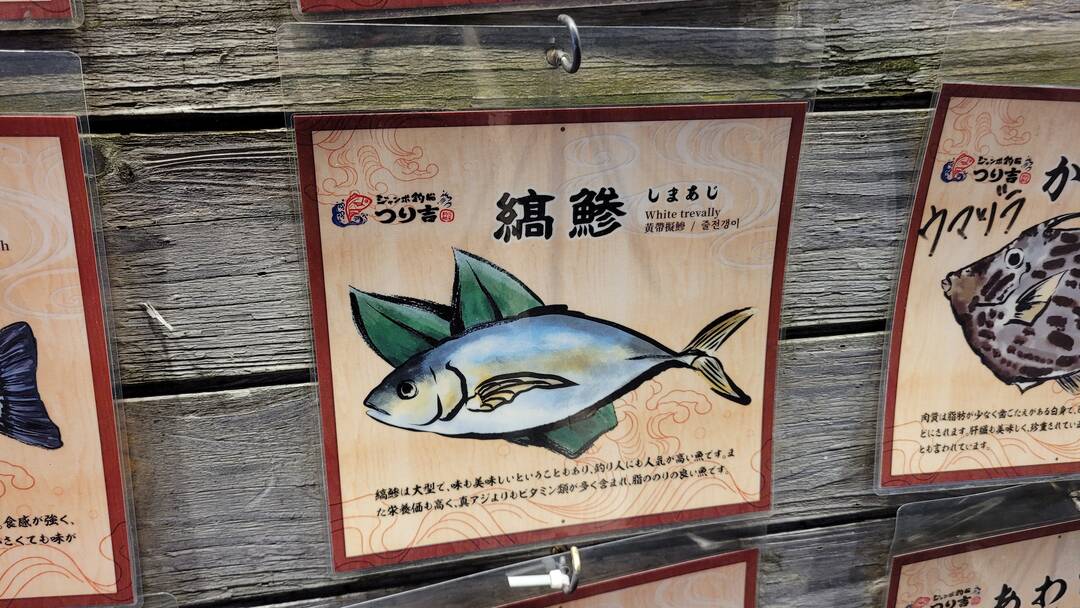 오사카-자유톡6