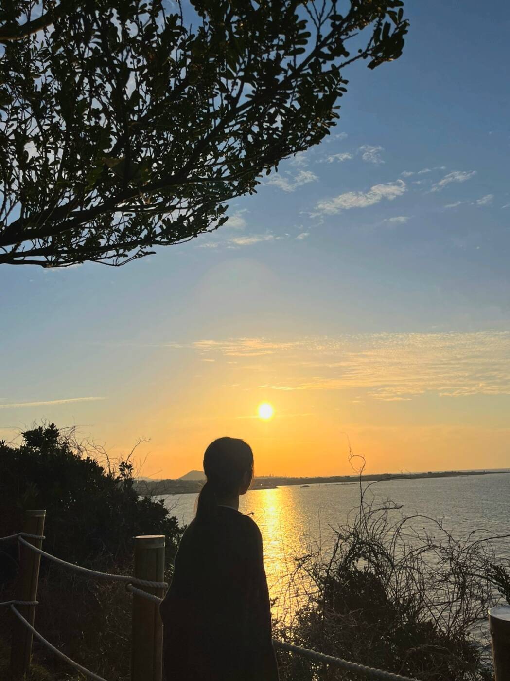 제주도-자유톡1