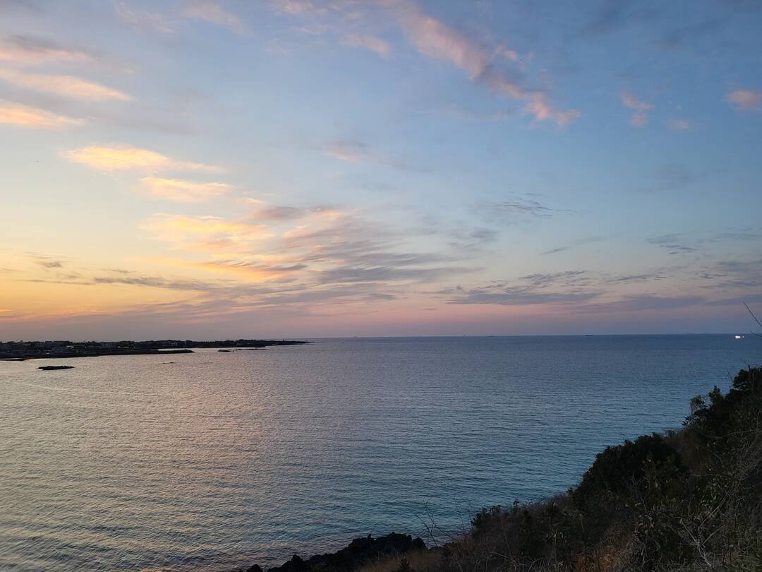 제주도-자유톡4