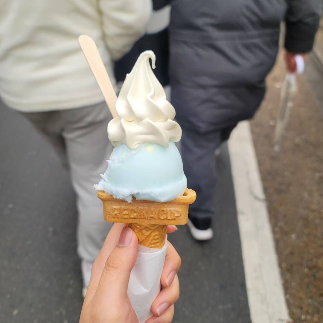 교토-장소9